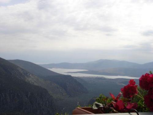 Sun View Guesthouse Delphi Екстер'єр фото